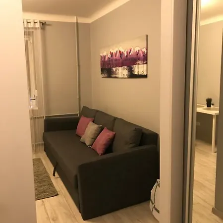 Center Gray Studio شقة