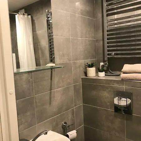 شقة Center Gray Studio كلابيدا