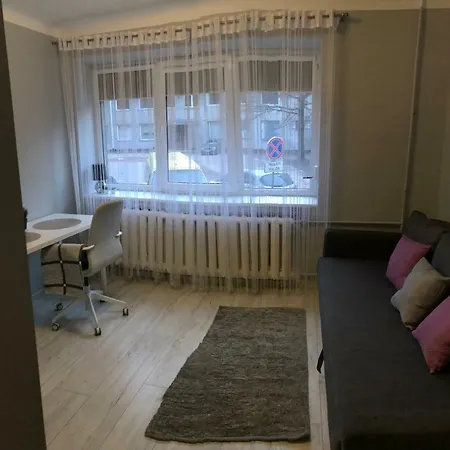 Center Gray Studio شقة *
